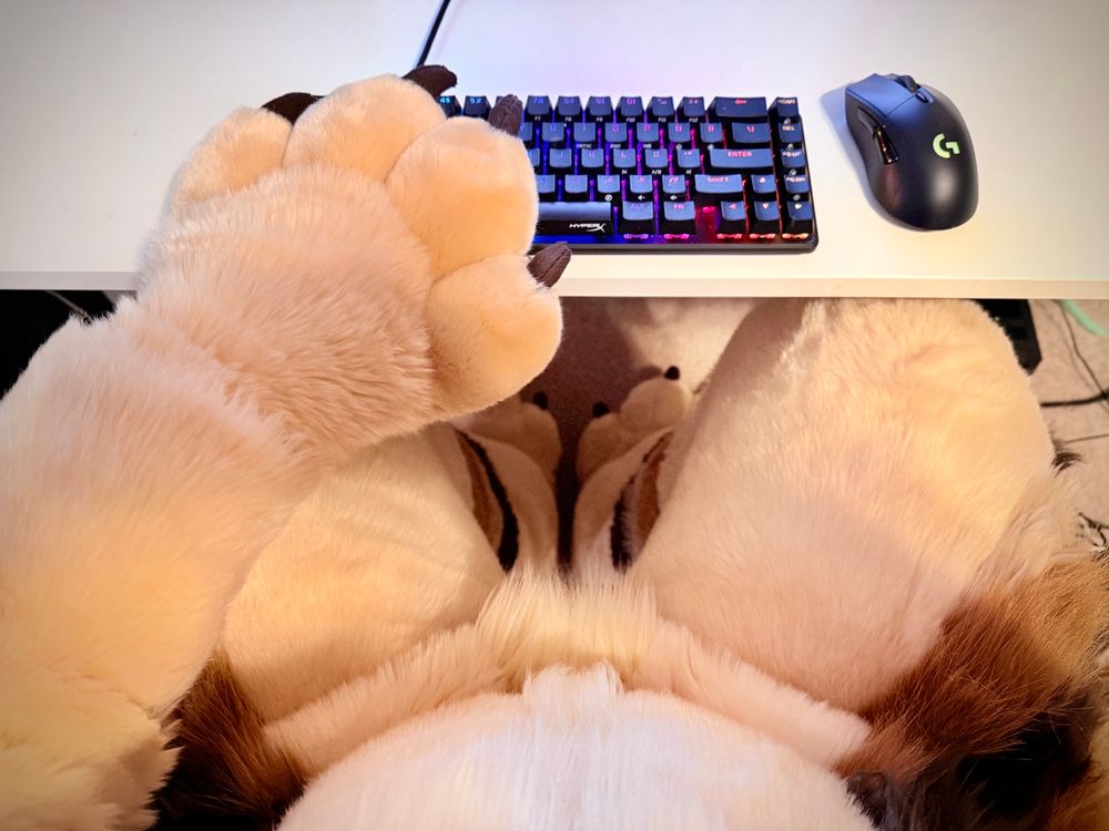 A point of view photo looking down at a desk with a fursuit paw on a keyboard and fursuit body/legs/foot paws visible 