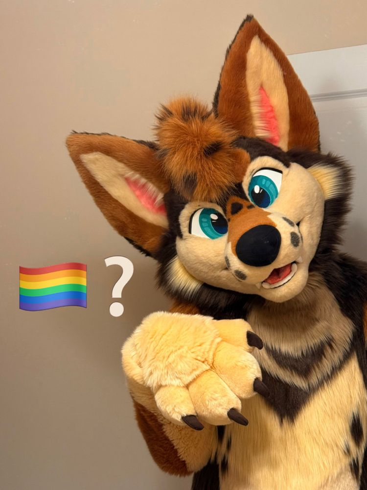 a photo of a coyote fursuiter in a saucy pose with the emoji “🏳️‍🌈 ❔”