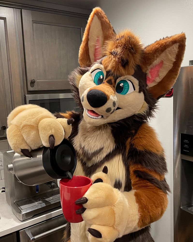 a coyote fursuiter pouring a cup of coffee 