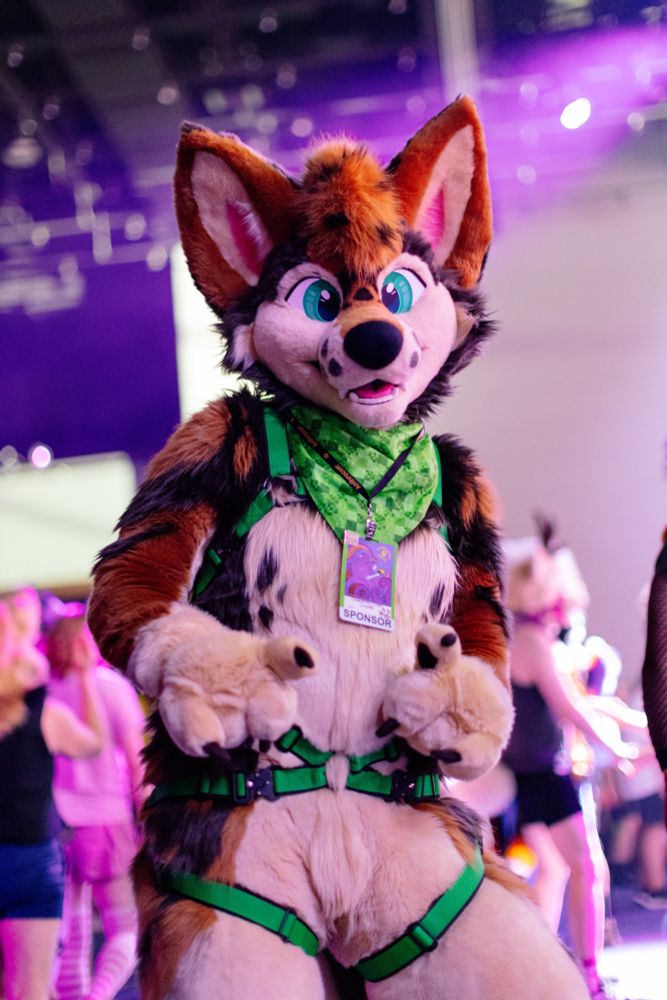 a coyote fursuiter in a harness dancing at a con rave