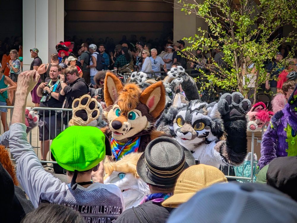 Two fursuiters wave to a crowd 