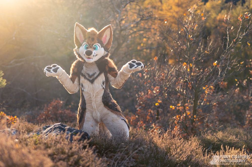 a coyote fursuiter shrugging in an autumnal setting