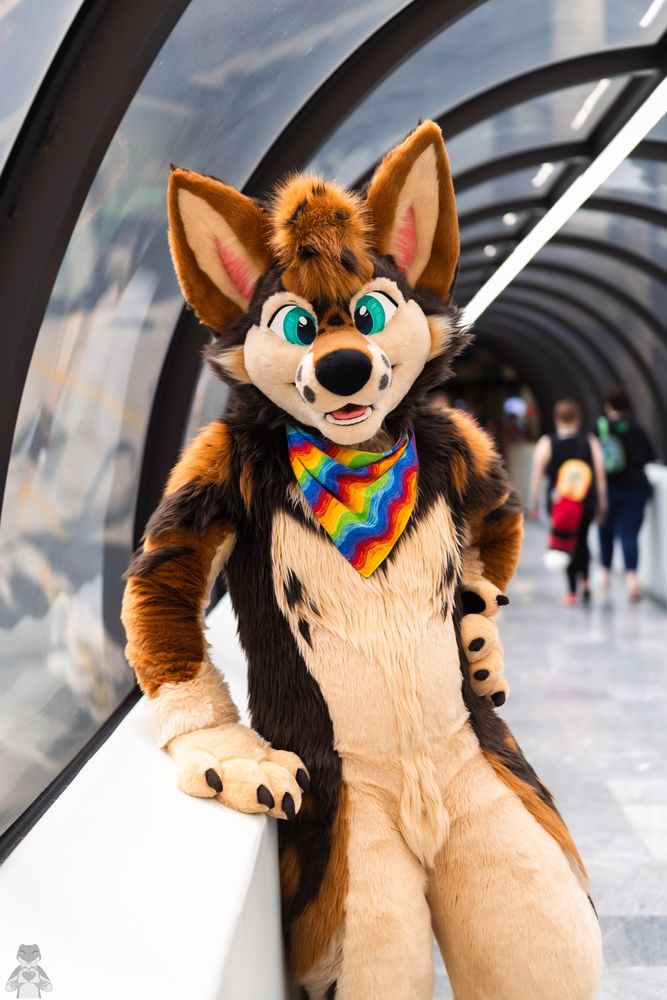 a coyote fursuiter in a skyway by @poisonedshutter.bsky.social