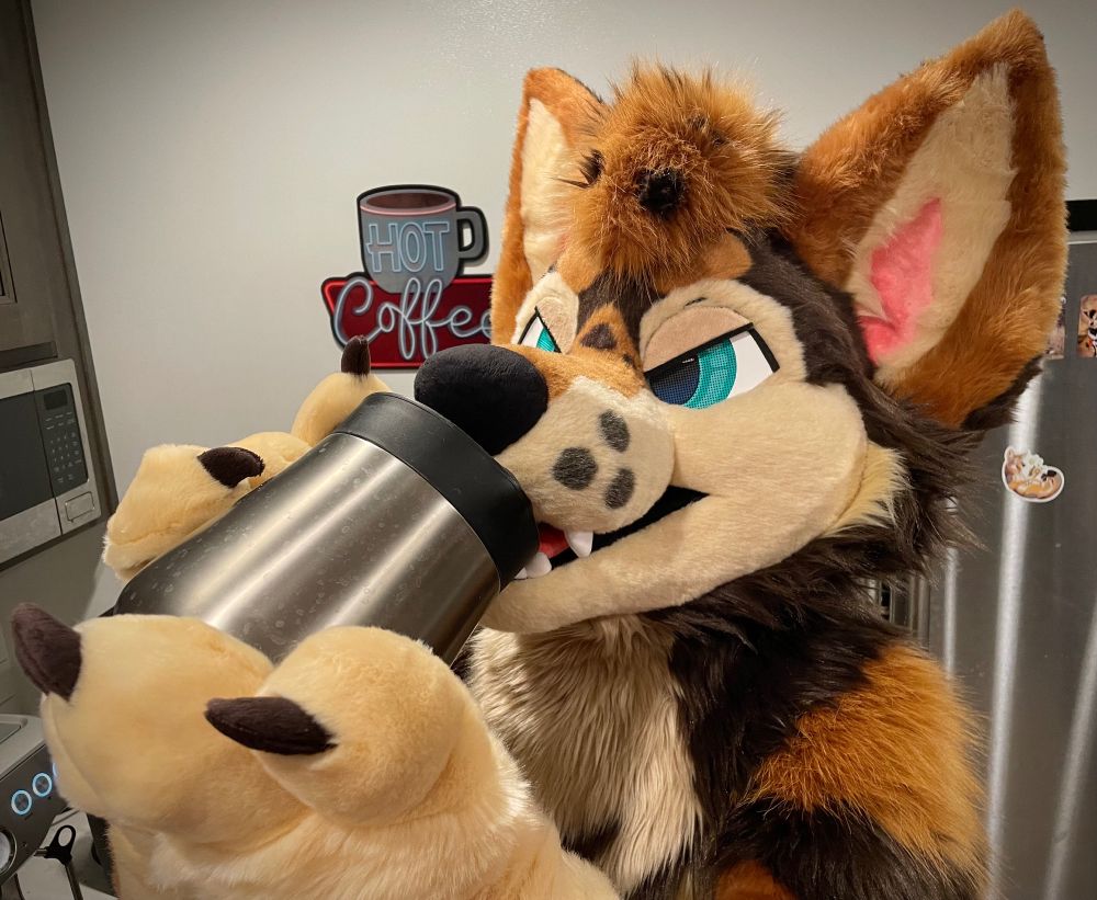 an angry fursuiter drinking coffee from the carafe