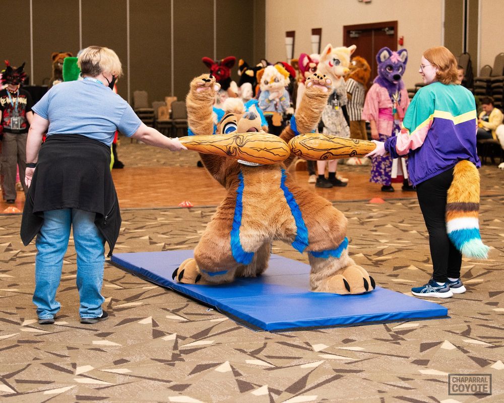 The same fursuiter in the process of failing to get under the bar