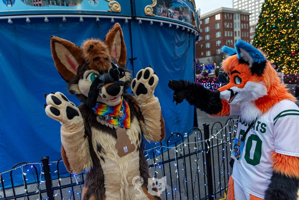 A fox fursuiter points at the nose of a coyote fursuiter, who has his hands thrown up in surprise