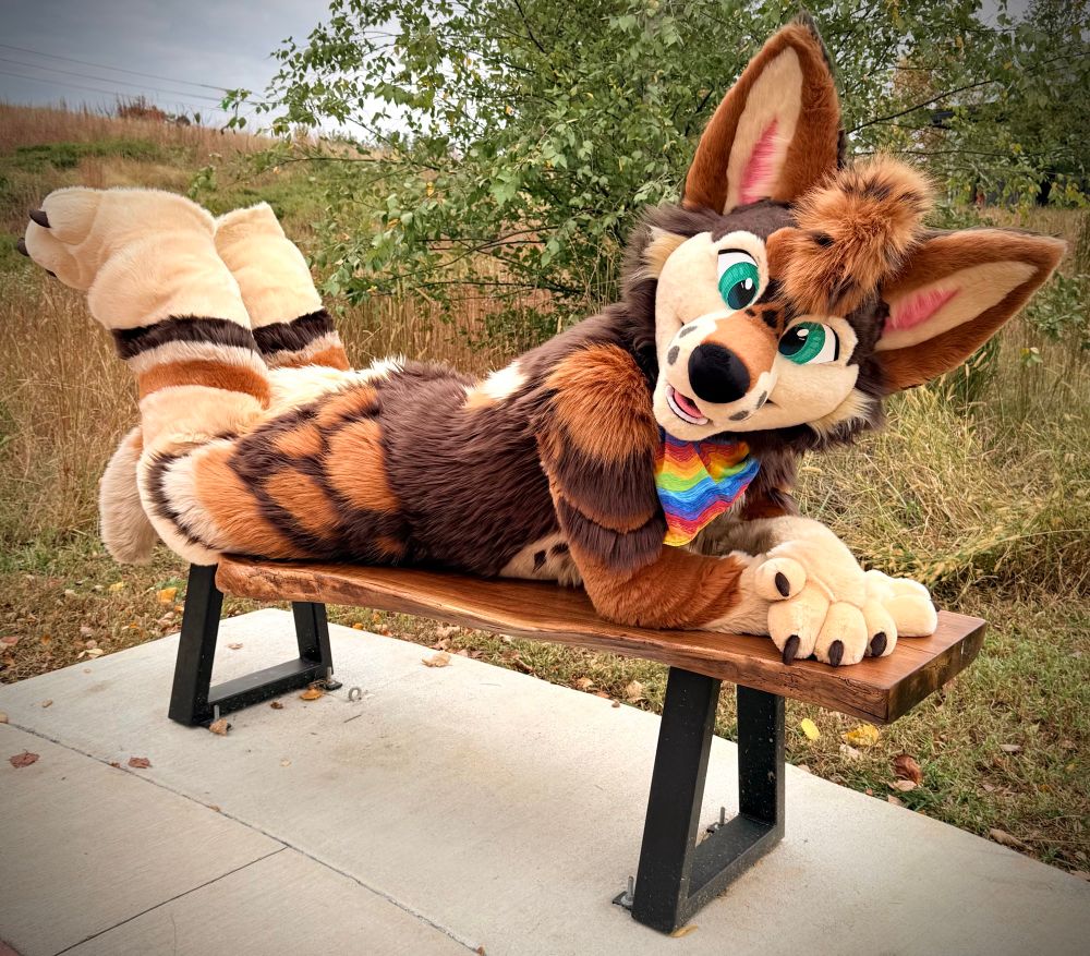 A coyote fursuiter resting belly-down on a bench with his feet kicked up