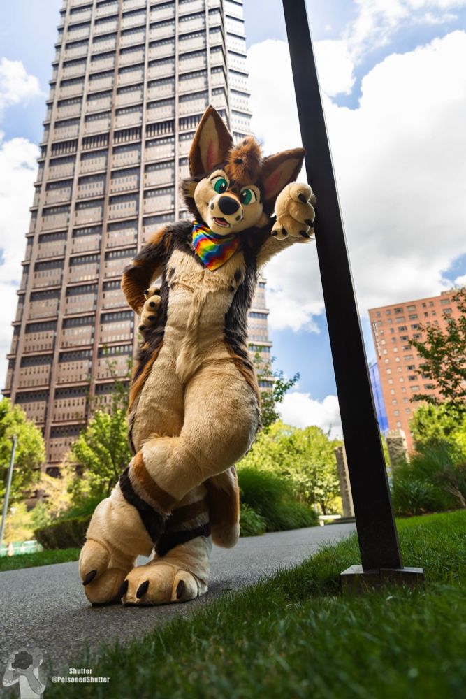 A wide-angle photo of a coyote fursuiter leaning against a light pole with a skyscraper in the background 
