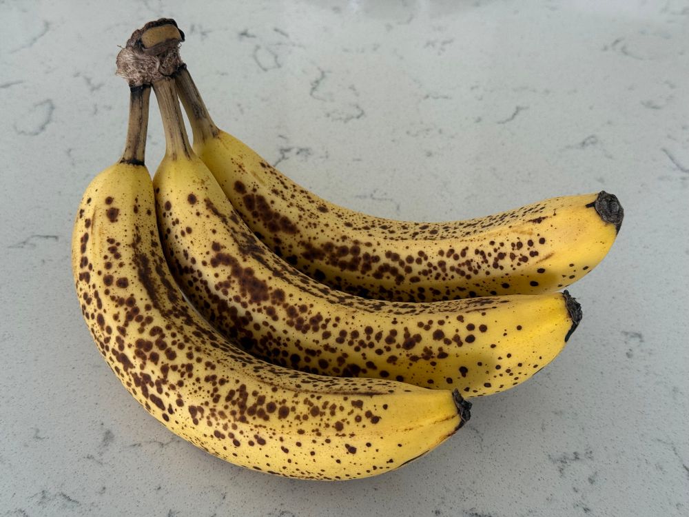 some yellow bananas with even brown spots