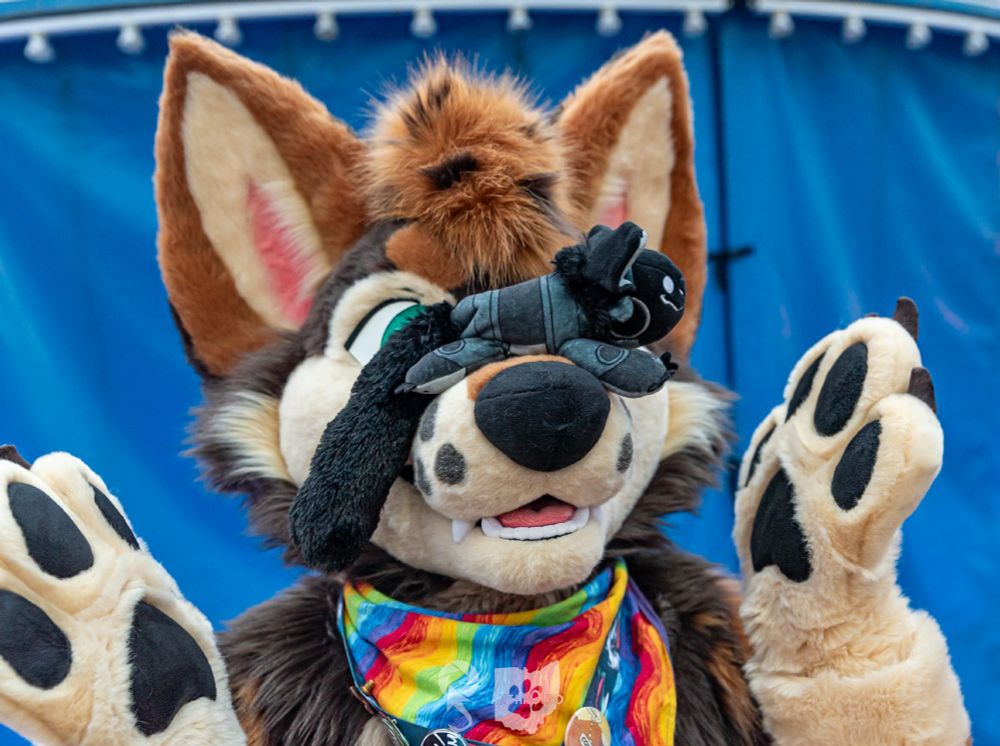 A close-in picture of a coyote fursuiter with a quadriped protogen beanie resting on his snout. His hands are thrown up in surprise