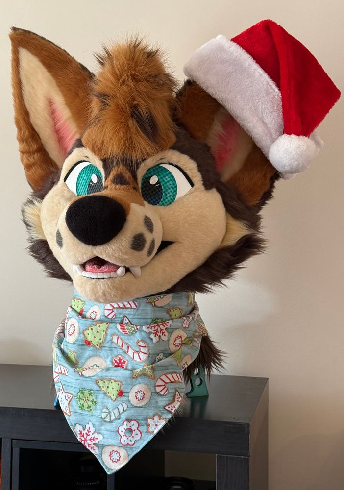 A coyote fursuit head with a Santa hat draped over one ear wearing a bandana with a Christmas cookie pattern 
