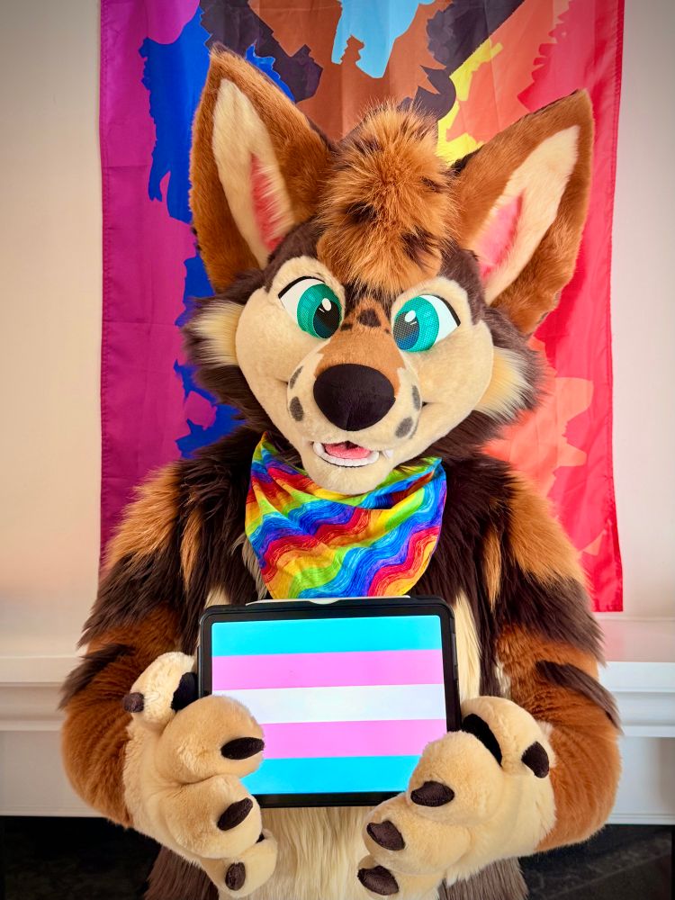 A coyote fursuiter standing in front of a hanging Pride flag and holding an iPad displaying the transgender pride flag