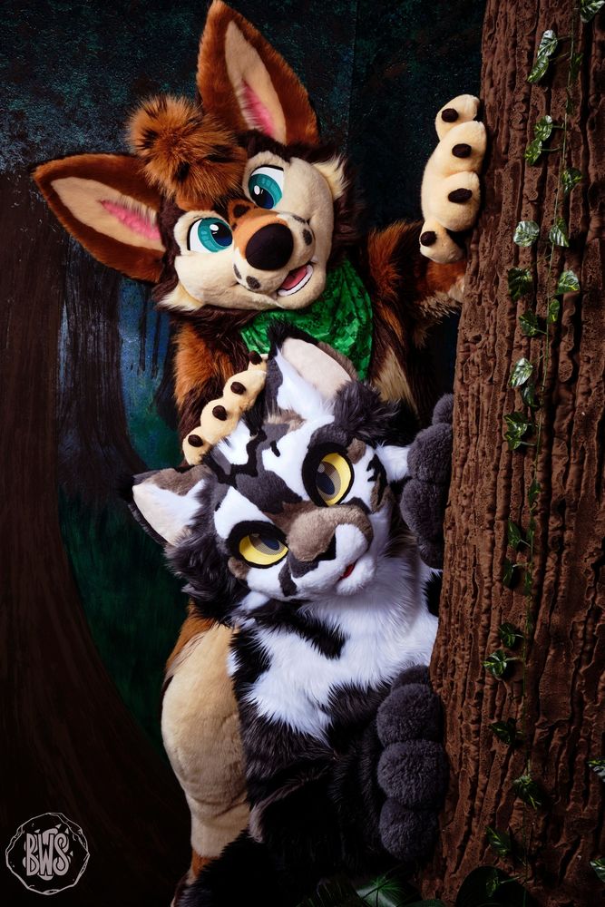 A coyote fursuiter and a cat fursuiter lean out from behind a tree