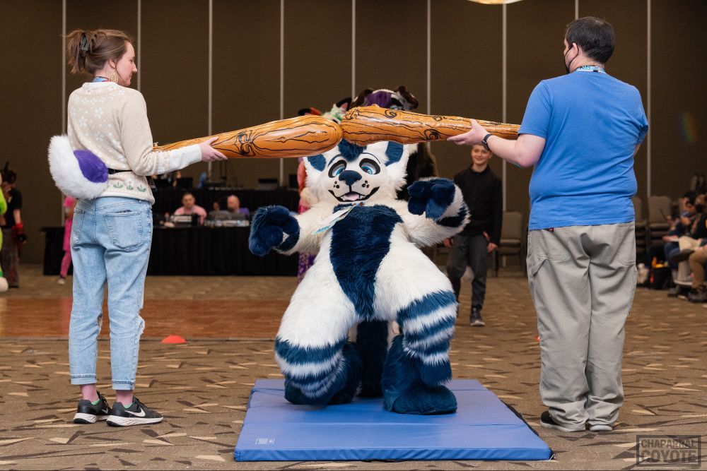 a photo of a fursuiter leaning way back to get under a limbo bar