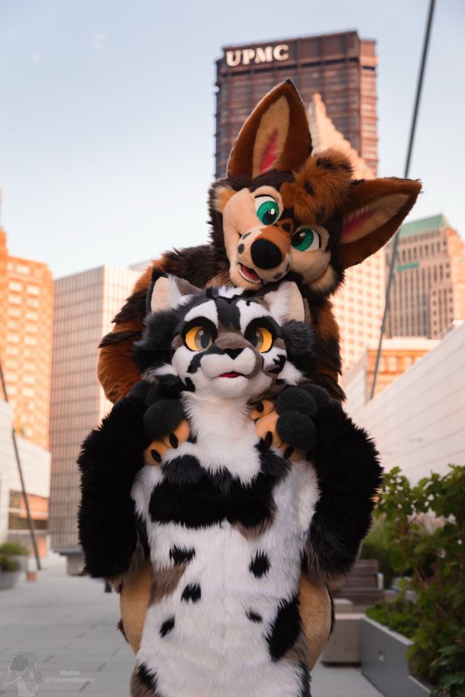 A coyote fursuiter and a cat fursuiter pose for the camera 