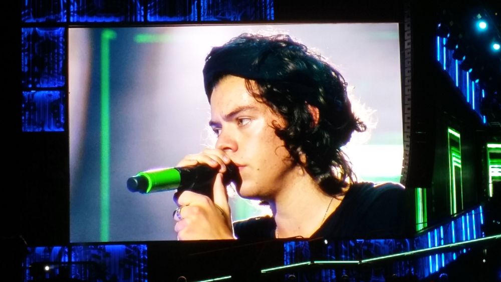 One Direction concert photo of Harry Styles in Nashville, TN on August 19, 2014
