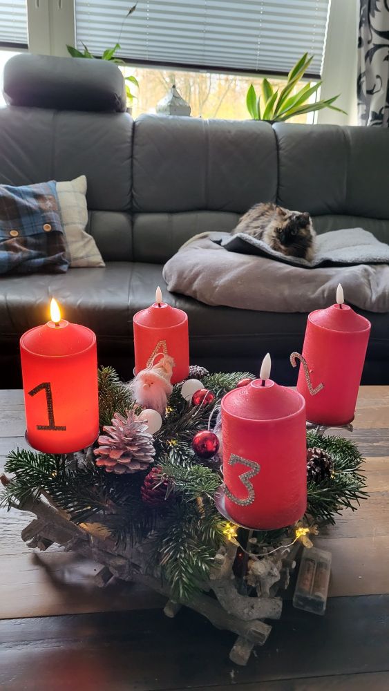 Yasmin im Advent