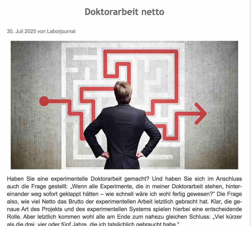 Screenshot aus dem im Post verlinkten Blog-Artikel mit Überschrift "Doktorarbeit netto". Darunter Illustration eines jungen Mannes, der in schwarzem Sacko mit dem Rücken zum Betrachter steht, beide Hände in die Hüften stützt und vor sich die große Darstellung eines Labyrinths betrachtet, durch das ein roter Pfeil über eine lange Strecke mit vielen Ecken vom Eingang zum Ausgang läuft. Wiederum darunter die ersten sieben Zeilen des Artikeltexts.