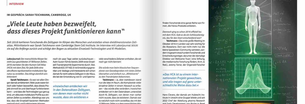 Screenshot aus dem im Post verlinkten Artikel mit Überschrift "Viele Leute haben bezweifelt, dass dieses Projekt funktionieren kann" sowie Vorspann mit dem text: "Seit 2016 kartieren Forschende die Zelltypen im Körper des Menschen und erstellen einen dreidimensionalen Zellatlas. Mitinitiatorin war Sarah Teichmann vom Cambridge Stem Cell Institute. Im Interview mit Laborjournal blickt sie auf die Anfänge zurück und schlägt den Bogen zu aktuellen Einzelzell-Technologien und KI-Modellen." Darunter und rechts daneben erste Zeilen des Artikeltexts. Ganz rechts Abbildung eines schematischen menschlichen Körpers samt der Abbildung einer dreidimensionalen grünen Datenmatrix darunter, beides vor einer Schiefertafel voller mathematischer Berechnungen.