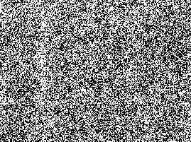 Small picture filled with random white and black pixels.