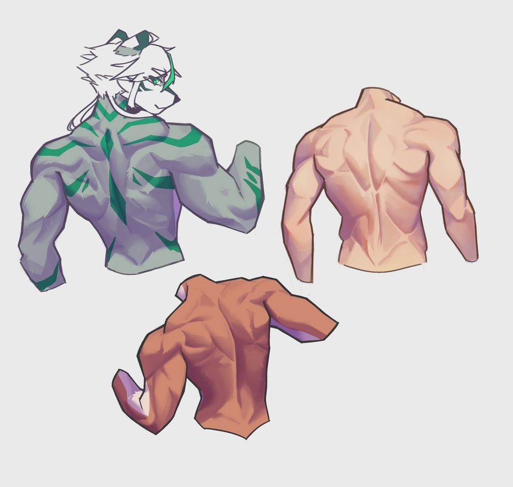 3 render studies of the human back with some extra details to make the process more fun