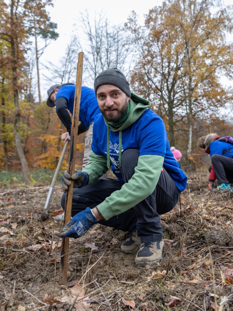 Jan kniet im herbstlichen Wald und pflanzt einen jungen Baum in den Boden. Er trägt eine blaue WaldLiebe-Aktionsshirt, Handschuhe und eine Mütze. Im Hintergrund arbeiten weitere Freiwillige.