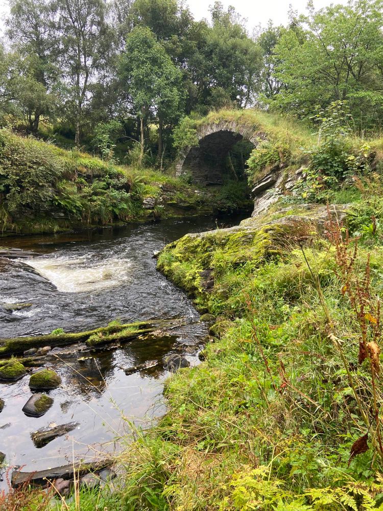 A picture of a mossy stone bridge over a river 