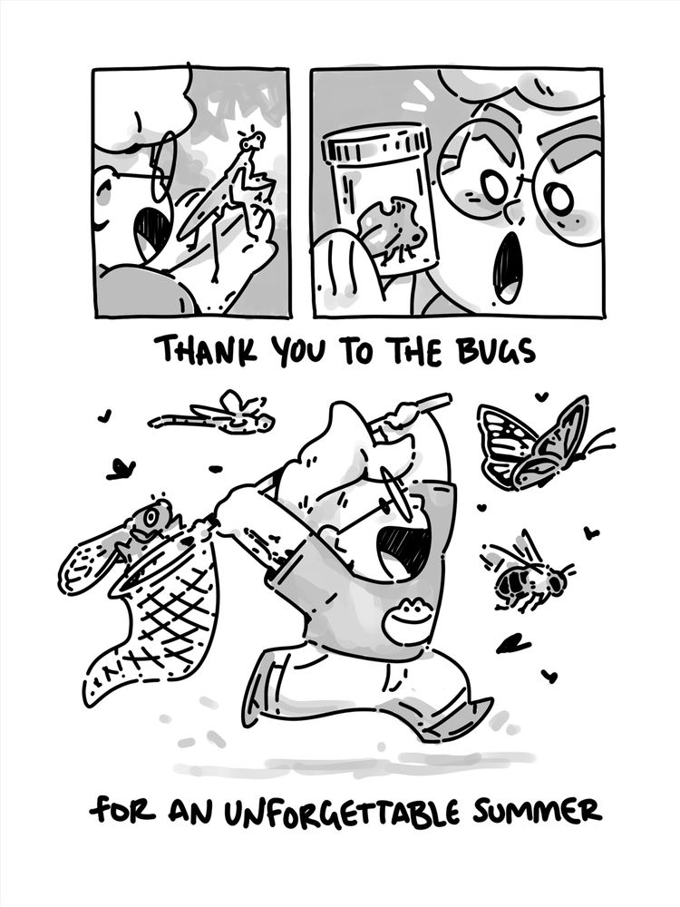 a 3-panel comic of a fluffy-haired person holding a praying mantis, holding a jar containing a treehopper, and running amidst several different insects with a net