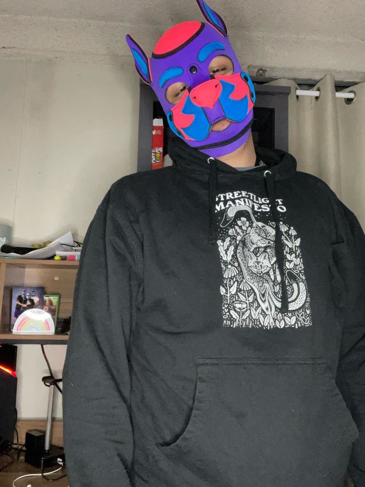 Pup Aero in Pink purple and blue hood, with Steet light manifesto sweater with a tired look and head tilting. 