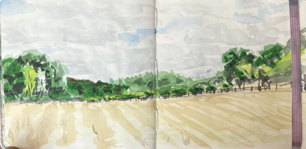 watercolour painting of recently mown dry grass field with trees and hedges at the far end. fluffy clouds with grey patches overhead