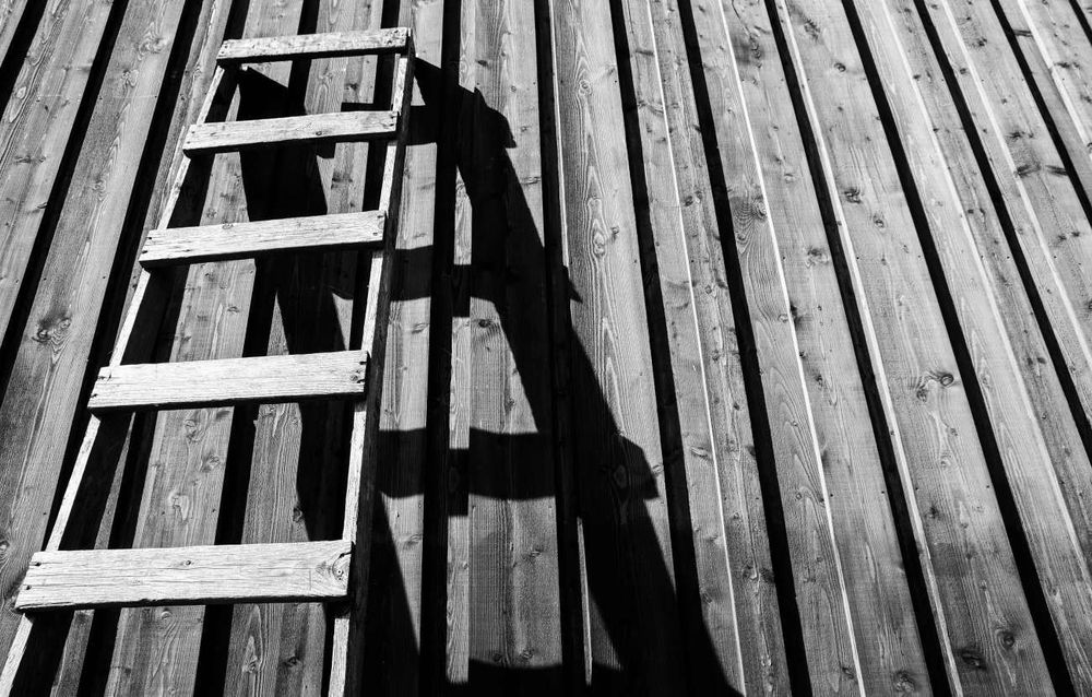 Wooden ladder placed against a wooden fence. Image is in black and white.