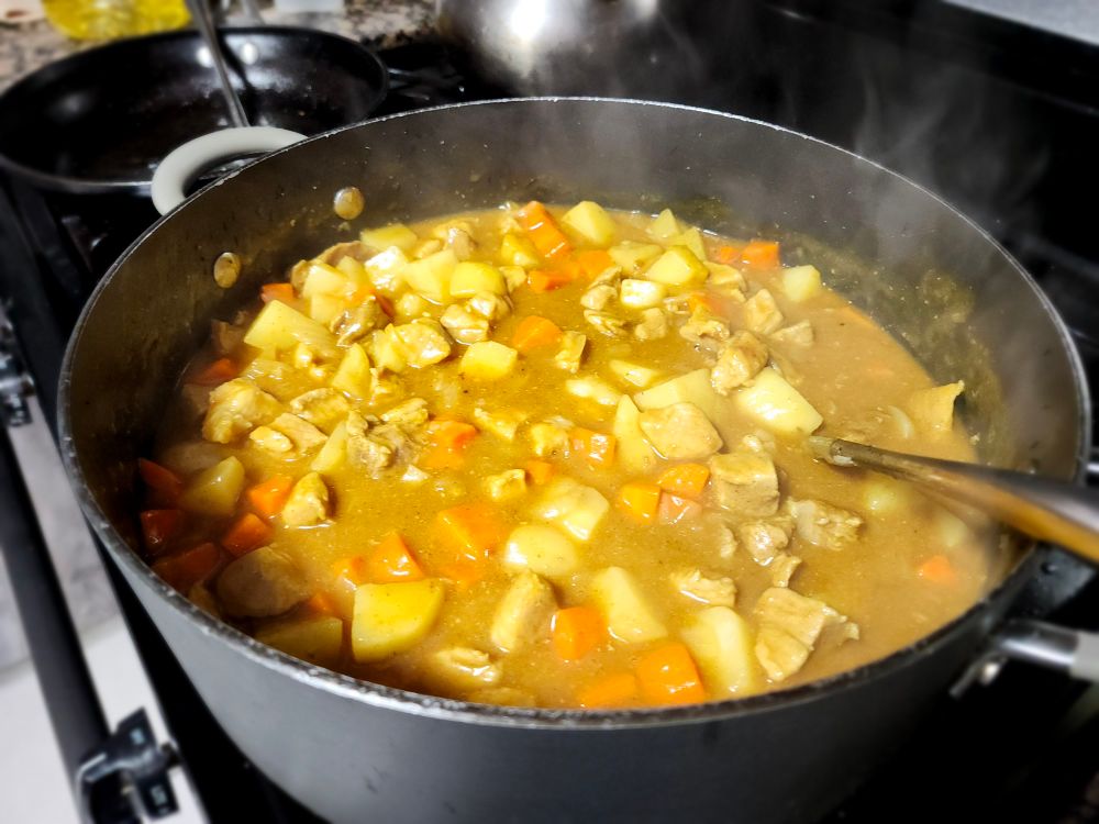 A photo of newly cooked pot of curry.