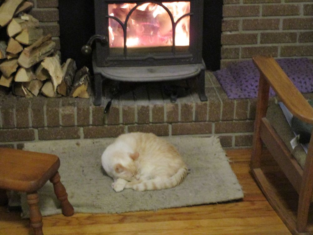 Background - brick hearth with black cast iron woodstove central (fire in the stove) and firewood stacked to the left.
Foreground - creamsicle cat curled up sleeping on a grungy gray hearthrug central, wooden milking stool to the left and the left arm of a wooden rocking chair to the right.