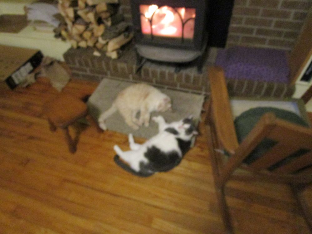 2 cats on a grungy gray hearth rug on a wood floor in front of a blazing fire in a cast iron woodstove on a brick hearth. Creamsicle cat curled up sleeping completely on the rug. To the right and a little forward gray & white cat lying half on the rug and half on the floor looking up at the camera.