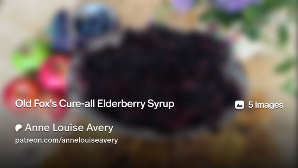 Old Fox's Cure-all Elderberry Syrup | Anne Louise Avery