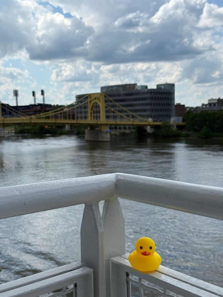 A rubber ducky overlooking a bridge in downtown Pittsburgh. 