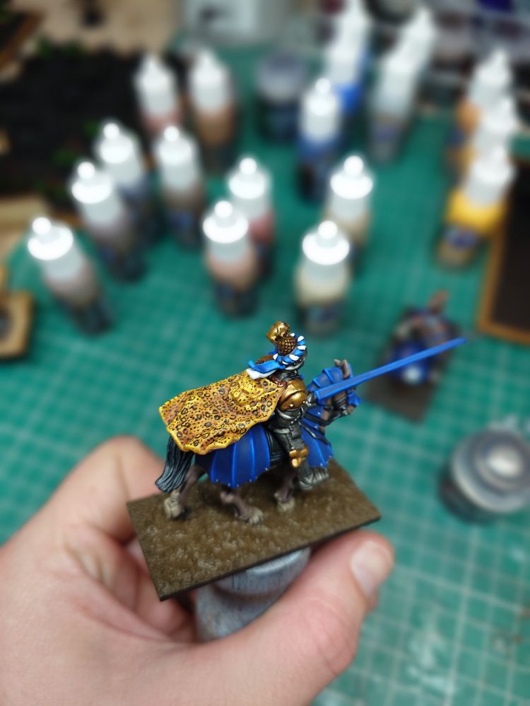 Better view of cloak and also blue and white tassels on helm with gold panther top