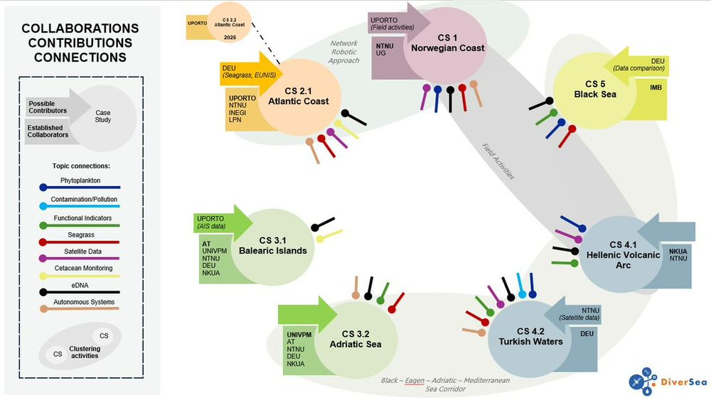 Conceptual map showing a variety of data collection methods applied across five core case study regions. For more detail please see the DiverSea website at the link in this post.