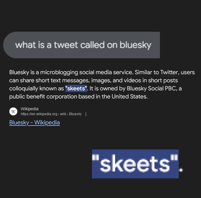 image is the wiki response to "what is a tweet called on bluesky" It's skeets.