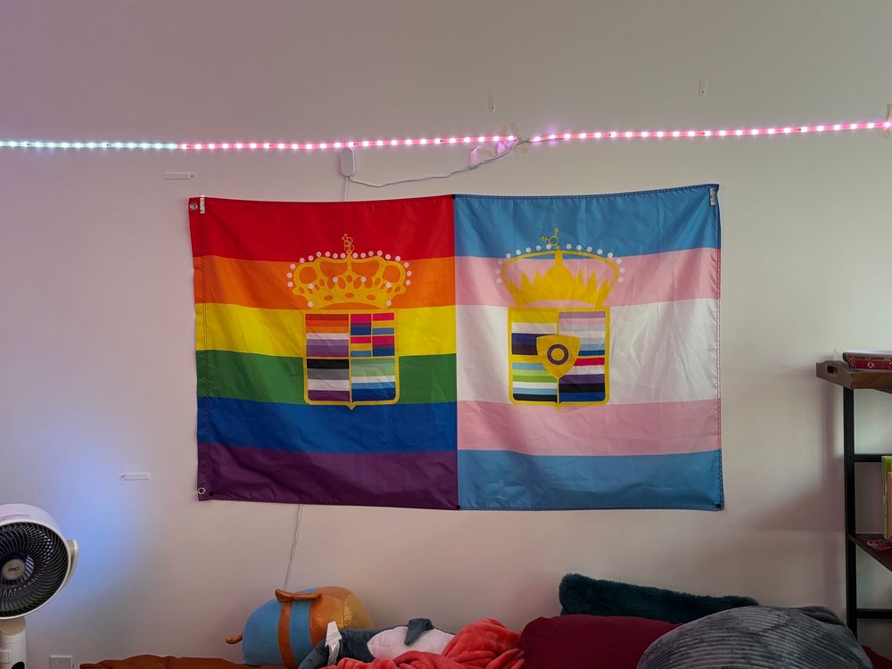 a austro hungarian ensign parody pride flag, left rainbow with sexuality flag coat of arma, right trans pride with gender flags and an intersex crest
