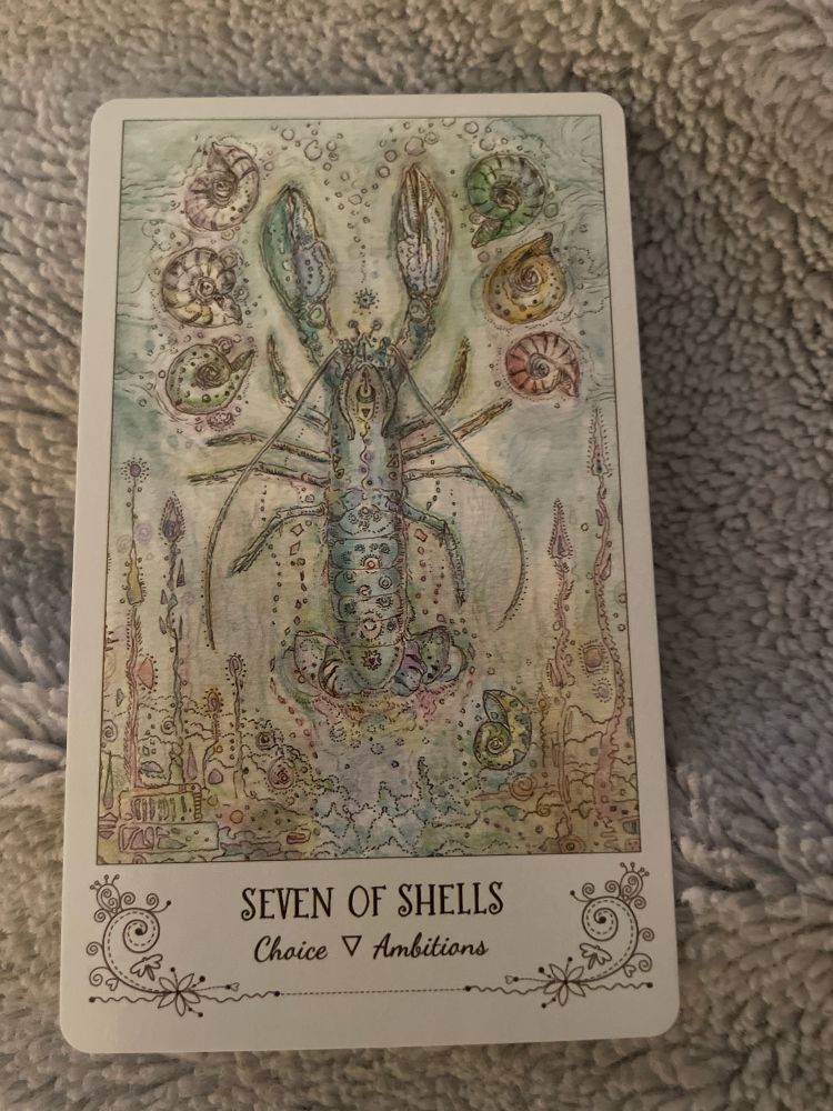 A card is shown on a blue blanket. The card says seven of shells, choice, and ambition. On the card is a lobster surrounded by seven shells.