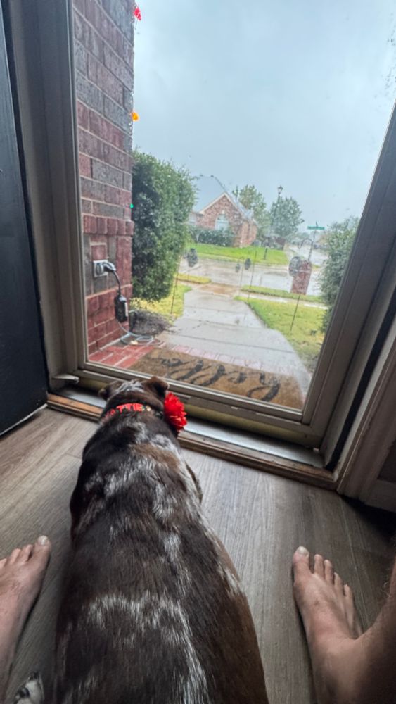 A picture of Matilda at the casa hanging out with me. We're behind the front storm door. Matilda's lying down watching the rain & listening to the thunderstorm pass thru the 'ville 