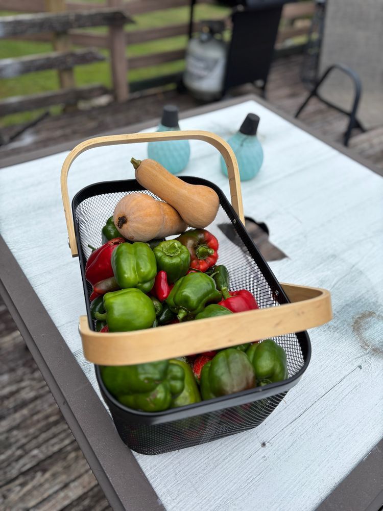 Basket of Jalapeño and bell peppers with two honey nut squash 