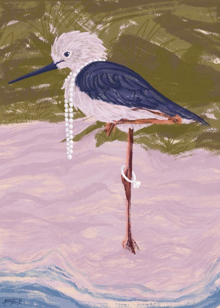 a digital painting of a long legged bird standing on a beach. green dunes are in the background. the bird is white with blue wings and a long blue beak. he is also wearing a pearl necklace and a diamond ring. 