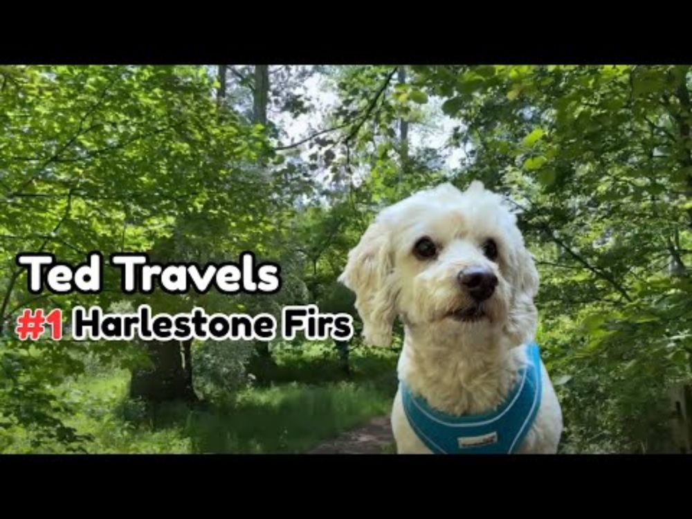Ted Travels - Ep.1