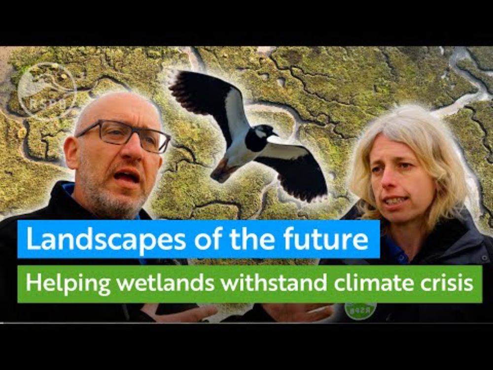Landscapes of the future - how we're helping wetlands withstand the climate crisis | RSPB