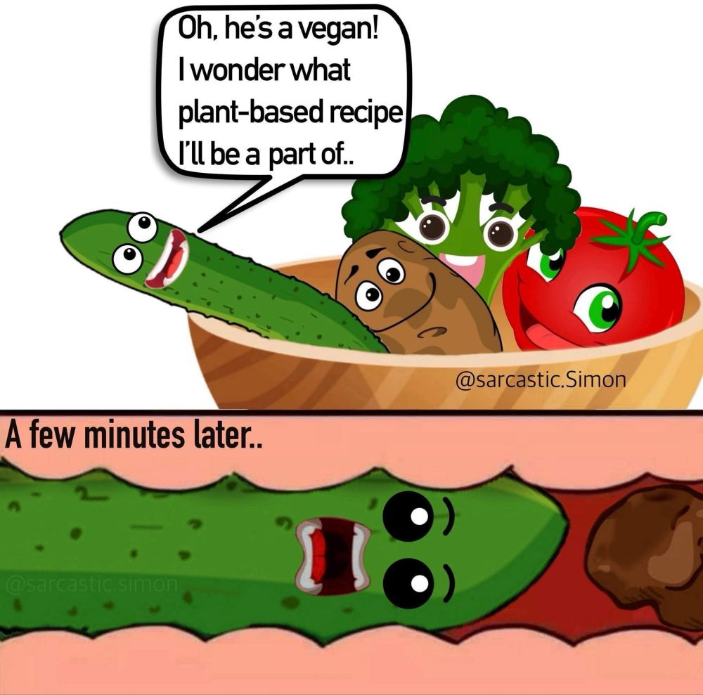 Cartoon with vegetables. Cucumber saying "oh he's vegan! I wonder what plant based recipe I'll be part of.." then ending up inside the butt..