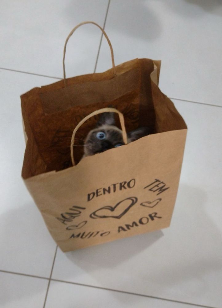 comprei no super dia ☺️