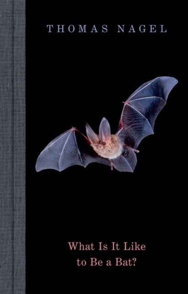 The book cover for what is it like to be a bat?