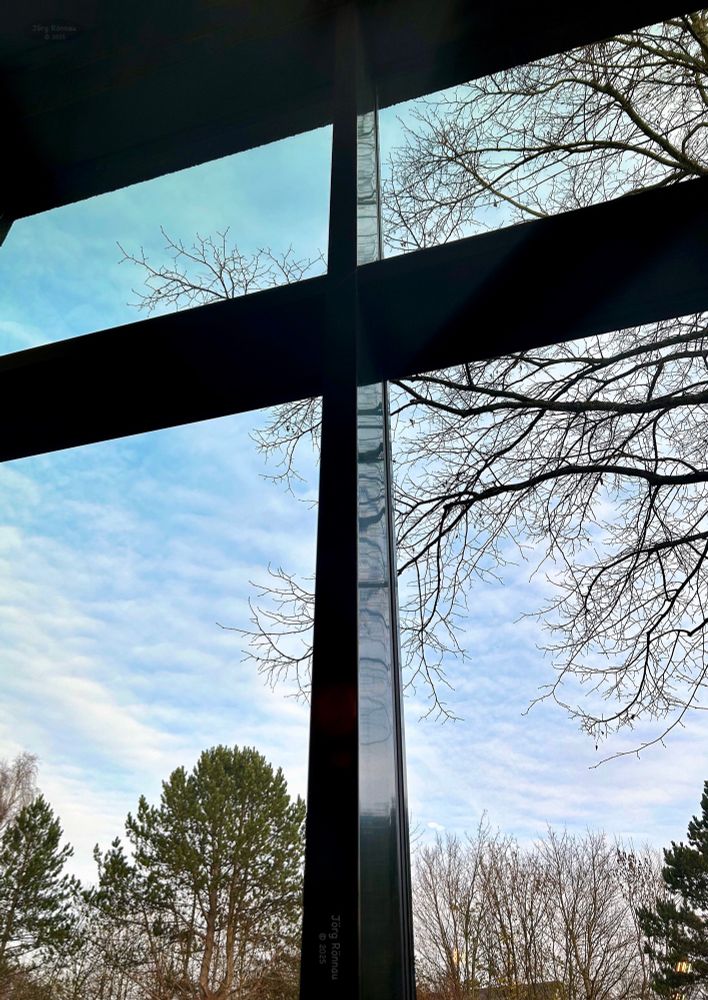Das Bild zeigt einen Ausblick durch ein modernes Fenster mit einem markanten schwarzen Rahmen. Der Blick geht nach draußen auf eine Szenerie mit Bäumen im Winter, da sie keine Blätter tragen. Der Himmel ist leicht bewölkt und blau, was eine ruhige Atmosphäre vermittelt. Der Fokus liegt auf dem Kontrast zwischen der klaren Struktur des Fensters und der organischen Form der Baumäste.